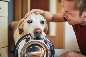 dog holding pet bowl in mouth