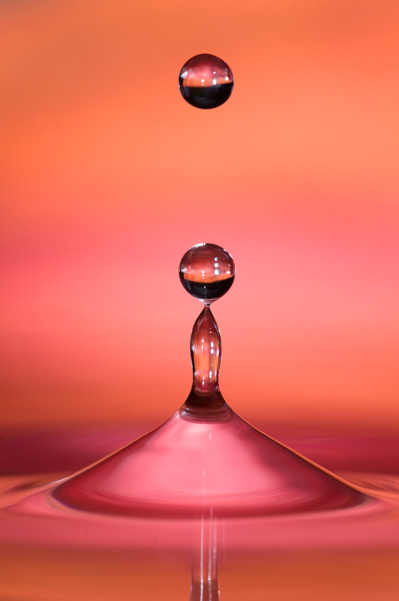 bouncing water drops