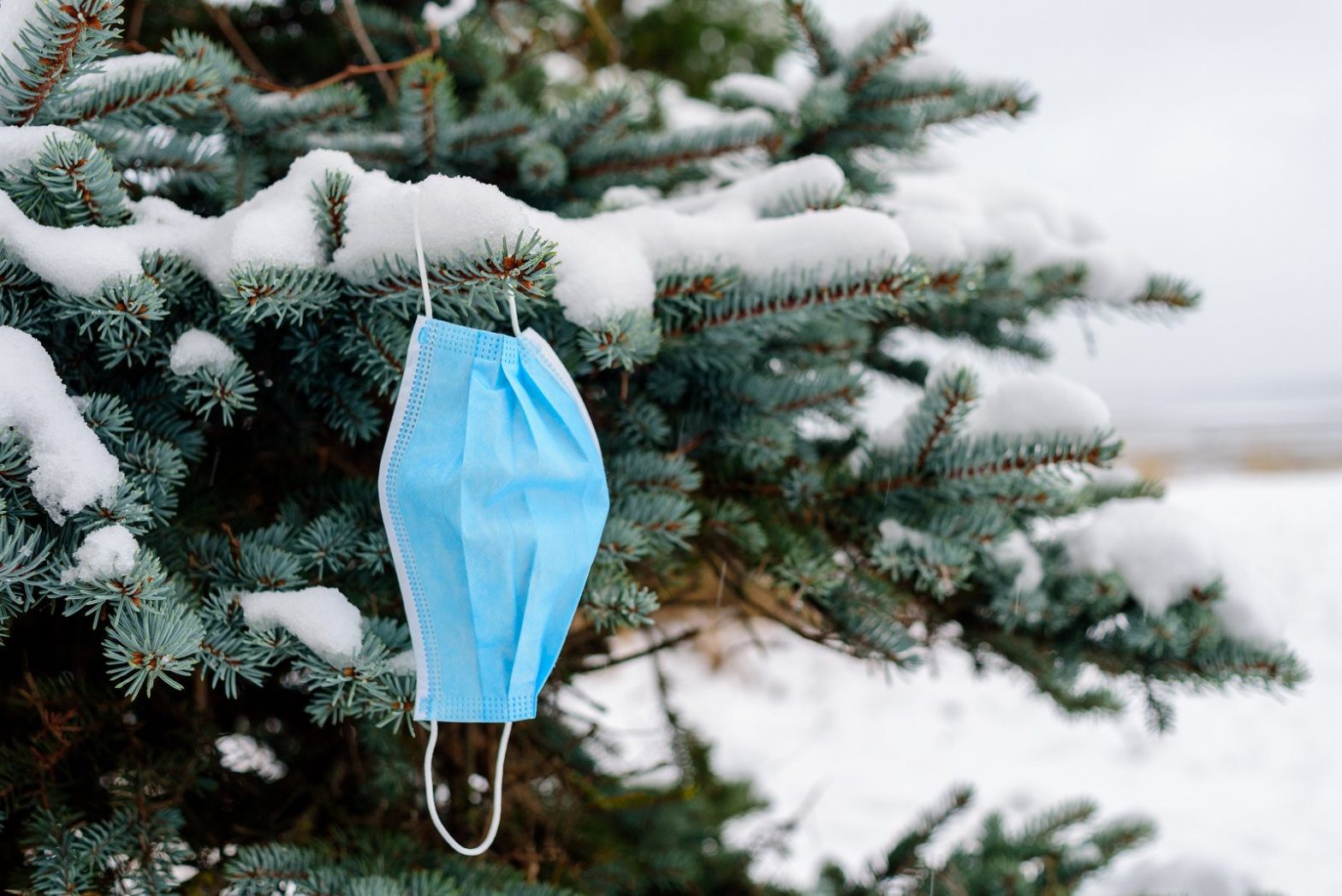 face mask on christmas tree