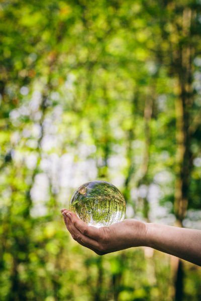 person holding a drop of water in the forest